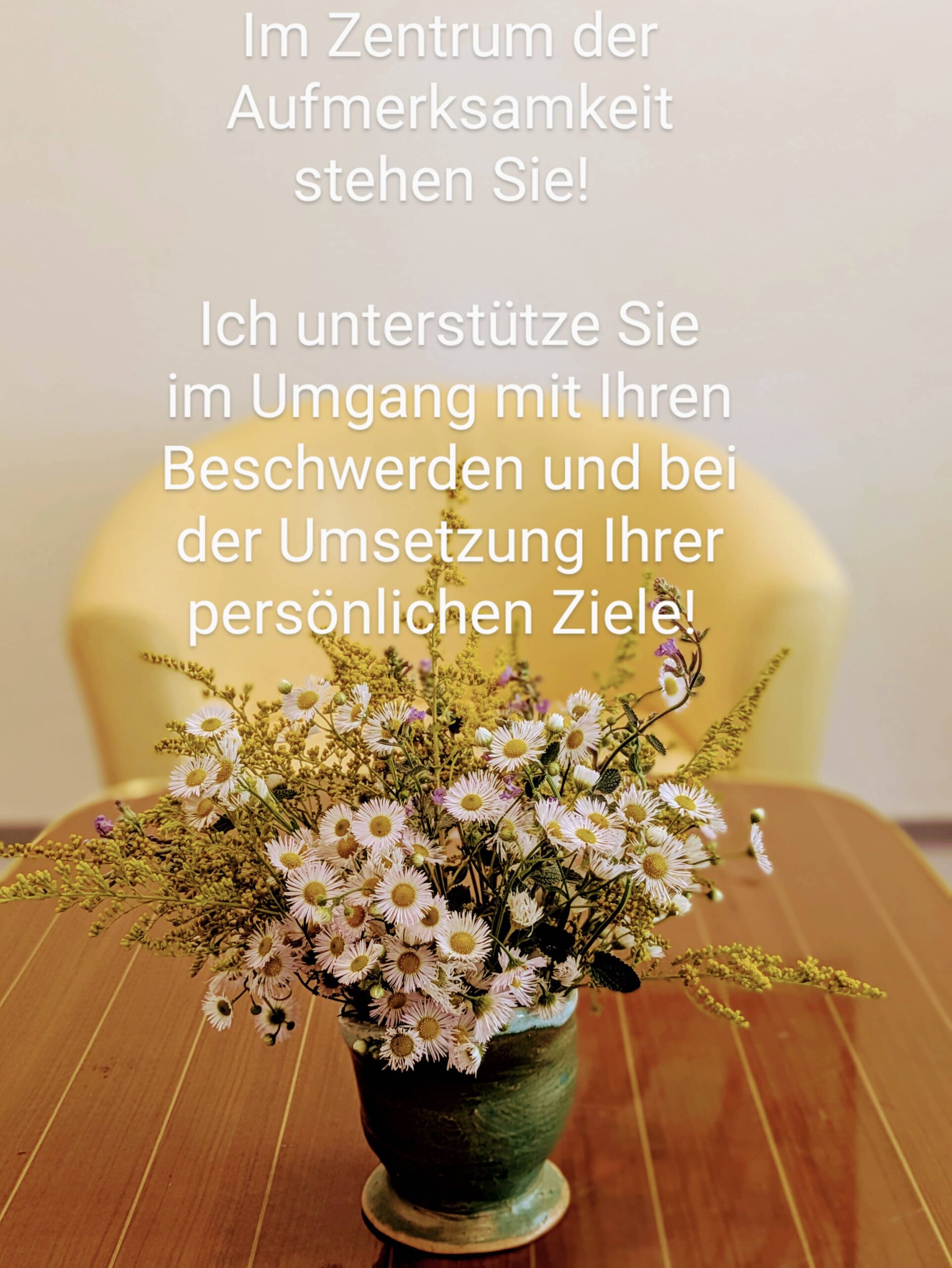 Sie stehen im Zentrum